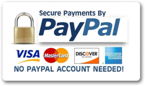 Secure Payments by PayPal